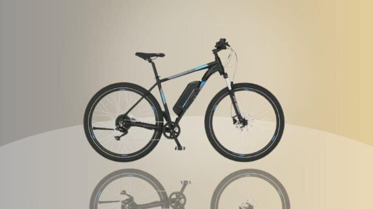 Fischer E-Bike