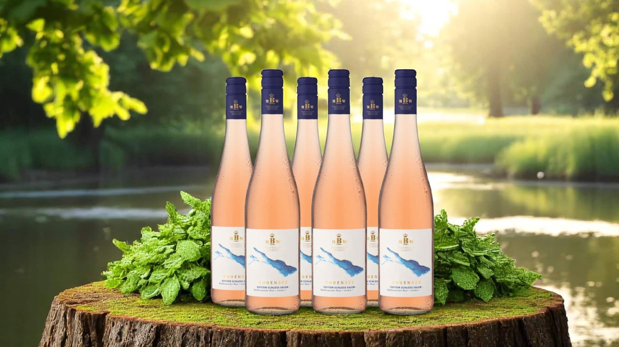2024 Markgräflich Badisches Weinhaus Bodensee »Edition Schloss Salem« Rosé
