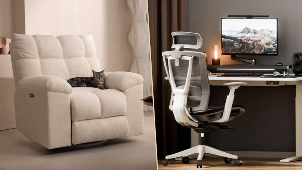 Flexispot Sessel und Schreibtisch