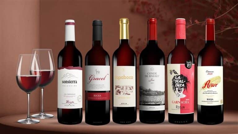 Sechs Flaschen Rioja-Rotwein stehen auf einem Tisch. Daneben stehen zwei Wein-Gläser.