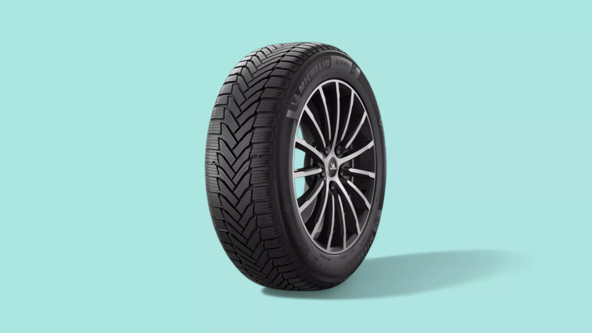 Michelin Alpin 6 im Angebot