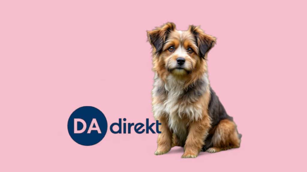 Hundekrankenversicherung im Check