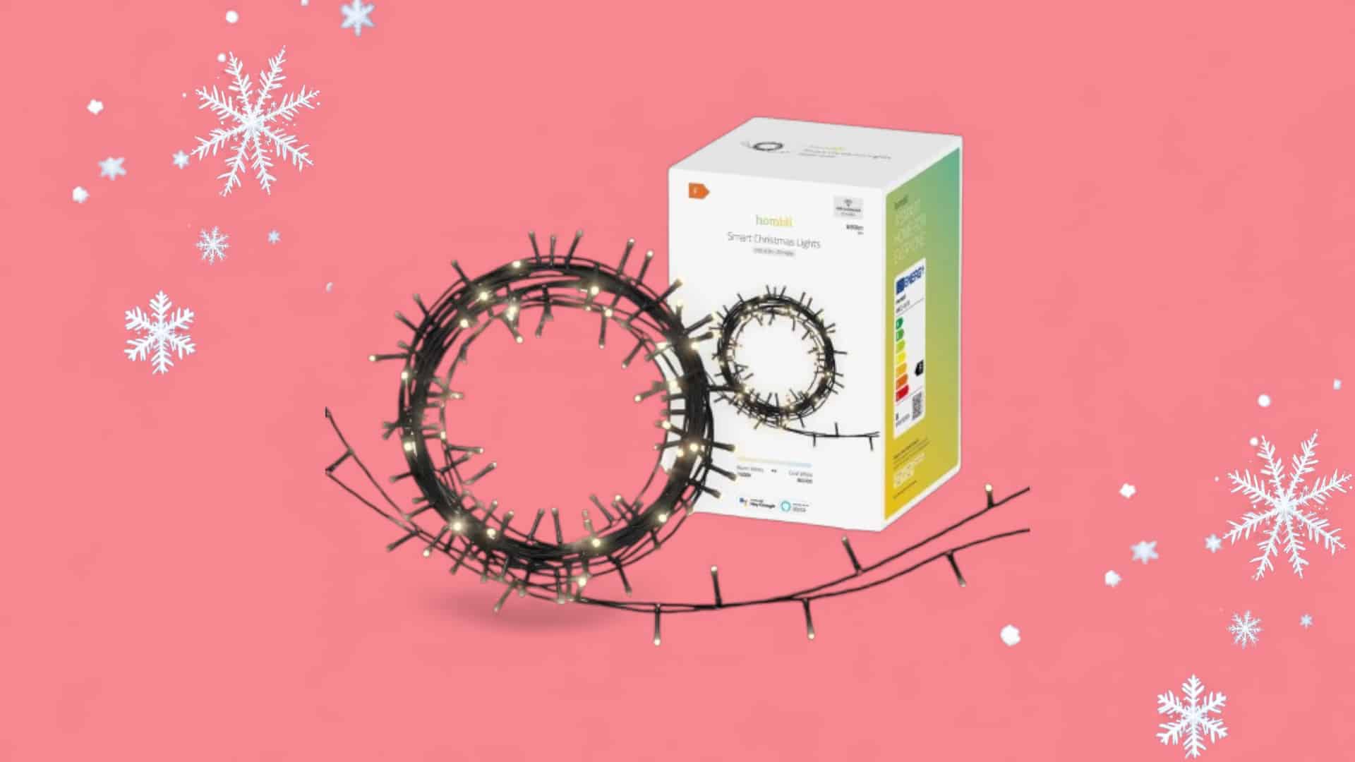 Hombli Smarte Lichterkette für drinnen und draußen