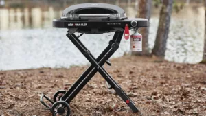 Weber Traveler Compact