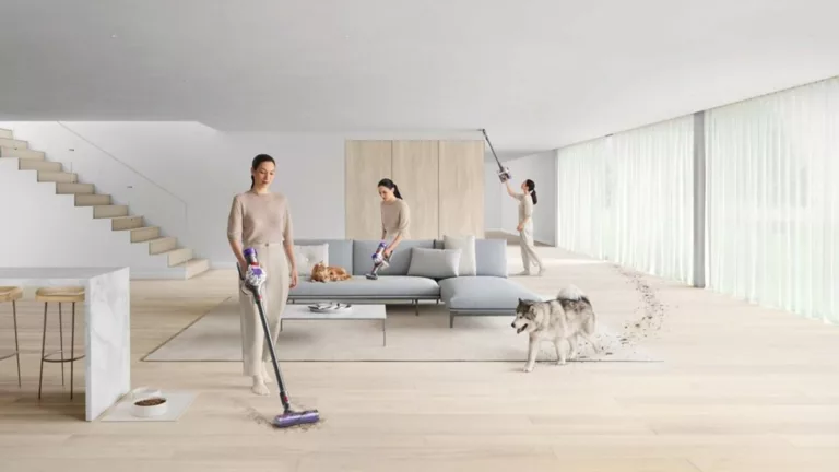 Dyson V8