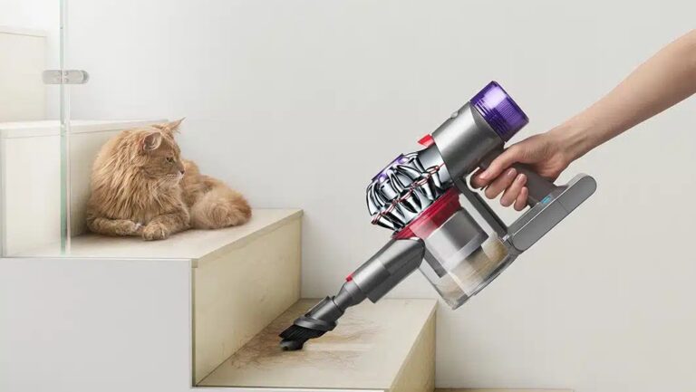 Handteil vom Dyson V8 saugt Katzenhaare von der Stufe während Katze daneben liegt