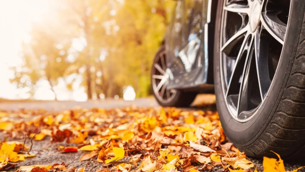 Car on asphalt road on autumn day at park. Colored leaves lying under the wheels of the vehicle.