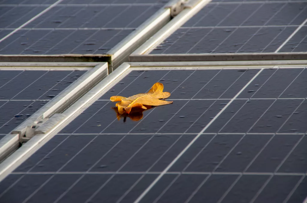 Nasses Solarmodul mit einzelnem Blatt (@istock)
