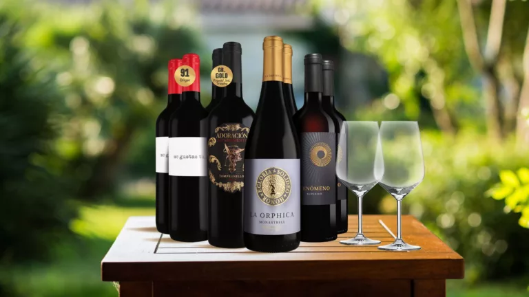 8 Flaschen Rotwein und zwei Gläser stehen auf einem Gartentisch