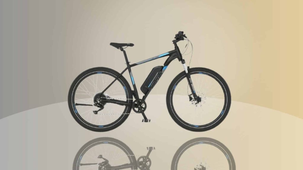 Fischer E-Bike